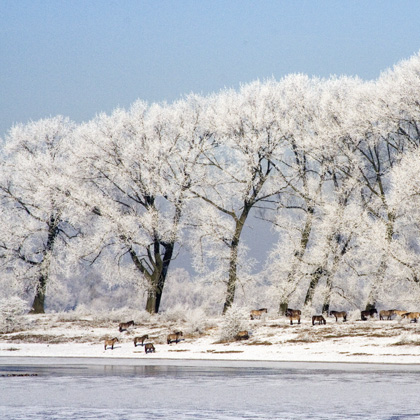vierkante winterkaart ook voor kerstkaart geschikt