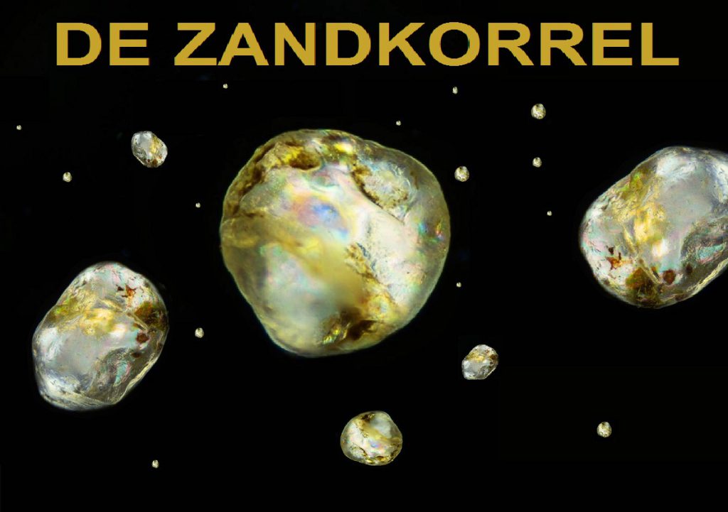 expo de zandkorrel