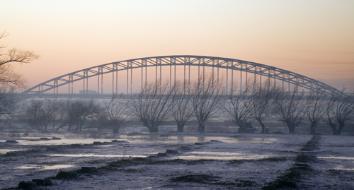 waalbrug met knotwilgen