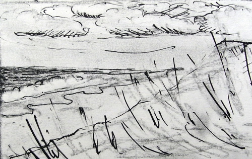 in de duinen