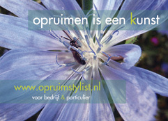 opruimstylist